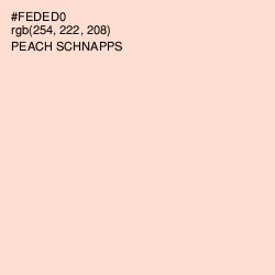 #FEDED0 - Peach Schnapps Color Image